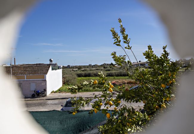 Apartamento em Tavira - Tabira Apartment (Conceição) Apartamento em Tavira - Tabira Apartment (Conceição)