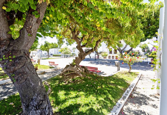 Casa em Tavira - Casa da Tavira Casa em Tavira - Casa da Tavira