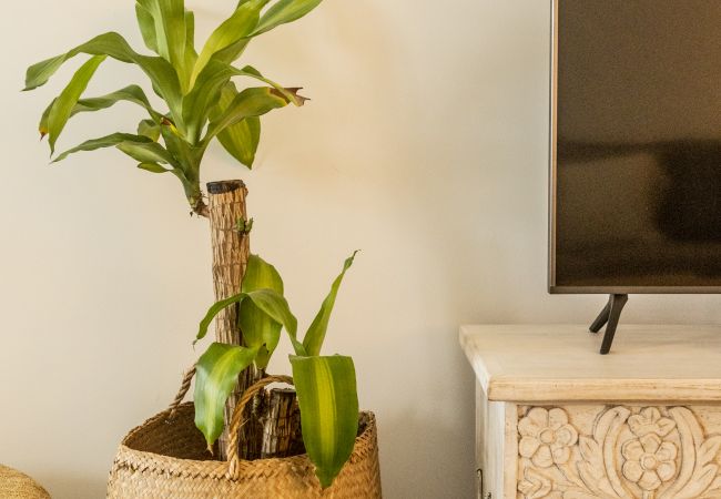 Apartamento em Tavira - Clover House Tavira Apartamento em Tavira - Clover House Tavira