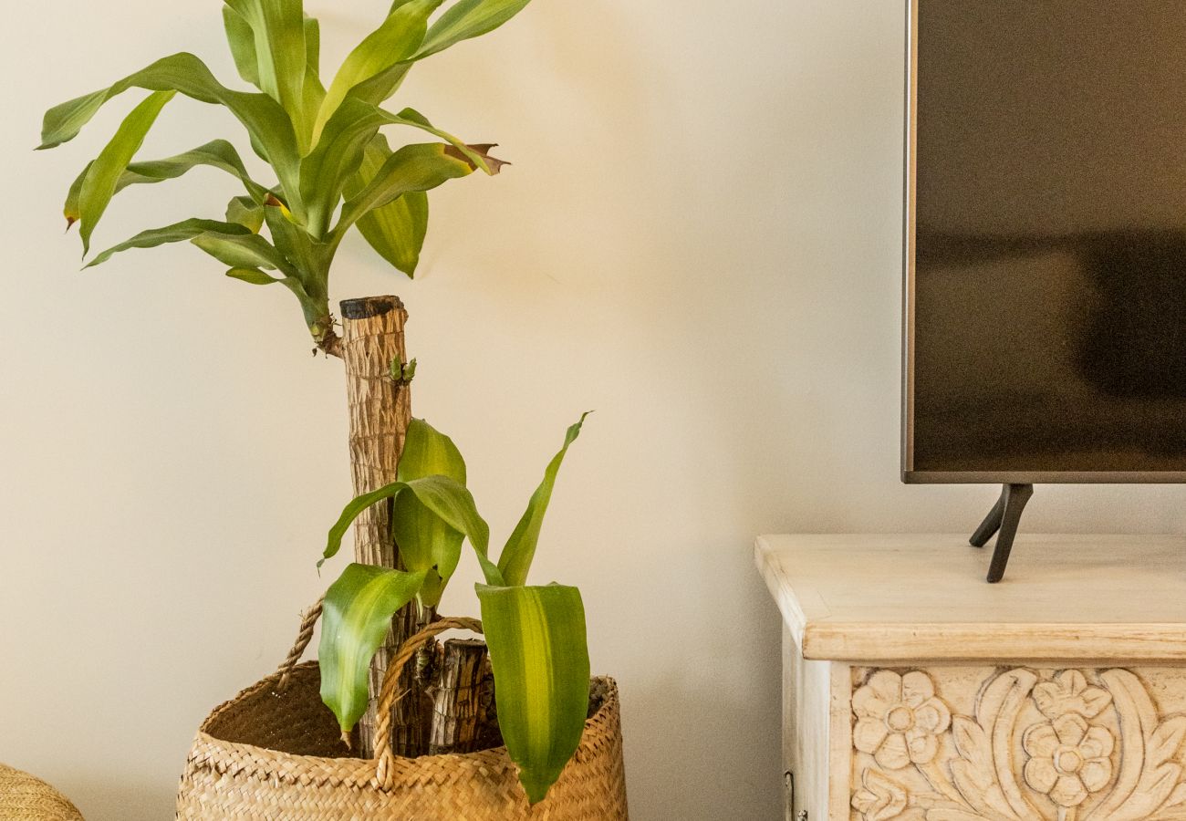 Apartment in Tavira - Clover House Tavira Apartment in Tavira - Clover House Tavira